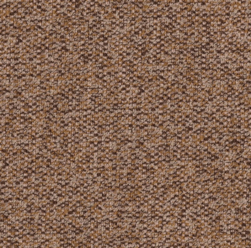 mayer-editor-sandstone